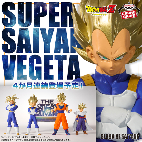 DRAGON BALL Z BLOOD OF SAIYANS -Super Saiyan Vegeta-